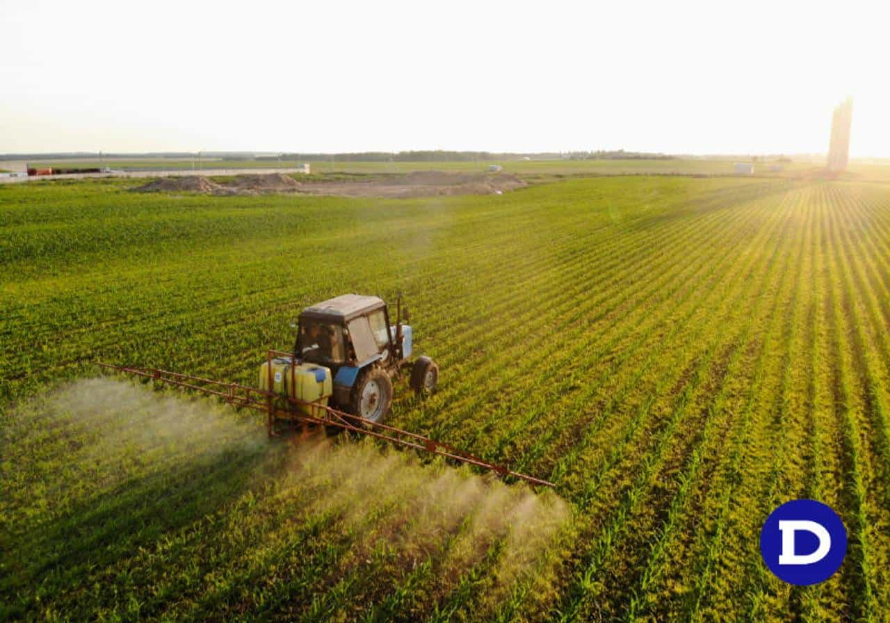 6 técnicas usadas na agricultura moderna para você conhecer!